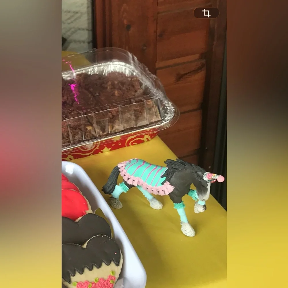 Horse Birthday Cake Pink Aqua Western Cowgirl Clydesdale Mare Cake Topper Toy
